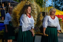 541430188_1201418978684338_7925157988682293418_n