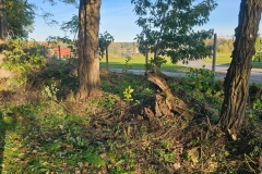 WhatsApp-Image-2025-10-28-at-10.44.05