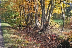 WhatsApp-Image-2025-10-28-at-10.44.06-1