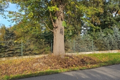 WhatsApp-Image-2025-10-28-at-10.44.06-2