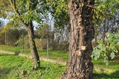 WhatsApp-Image-2025-10-28-at-10.44.06-3