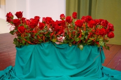 DSC4656