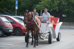 DSC5212