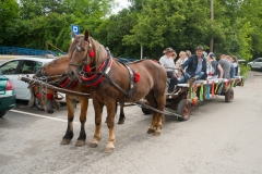 DSC5225