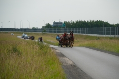 DSC5253