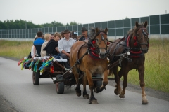 DSC5274