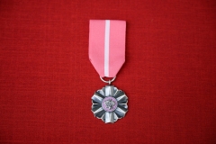 DSN3129-1-scaled