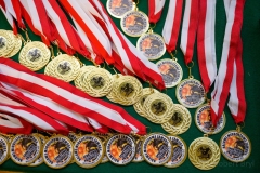 Halowe Młodzieżowe Zawody Sportowo-Pożarnicze Młodzieżowych Drużyn Pożarniczych OSP z terenu Gminy Wierzchosławice