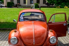 502690345_1359558326180352_363777329676255765_n