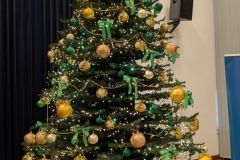 PXL_20251219_141529264-scaled