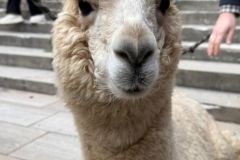 WhatsApp-Image-2026-01-07-at-10.51.35