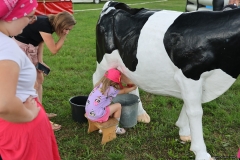 518382648_2302445806837831_519607678626615741_n