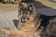 WhatsApp-Image-2026-02-11-at-14.59.18