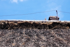 WhatsApp-Image-2025-08-07-at-14.47.06-1