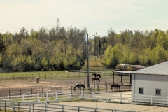 PXL_20260423_084814912-scaled