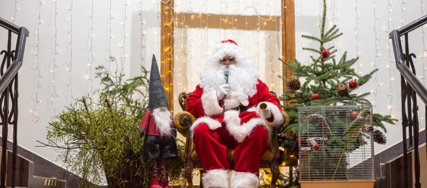 Święty Mikołaj siedzi na krześle między choinkami