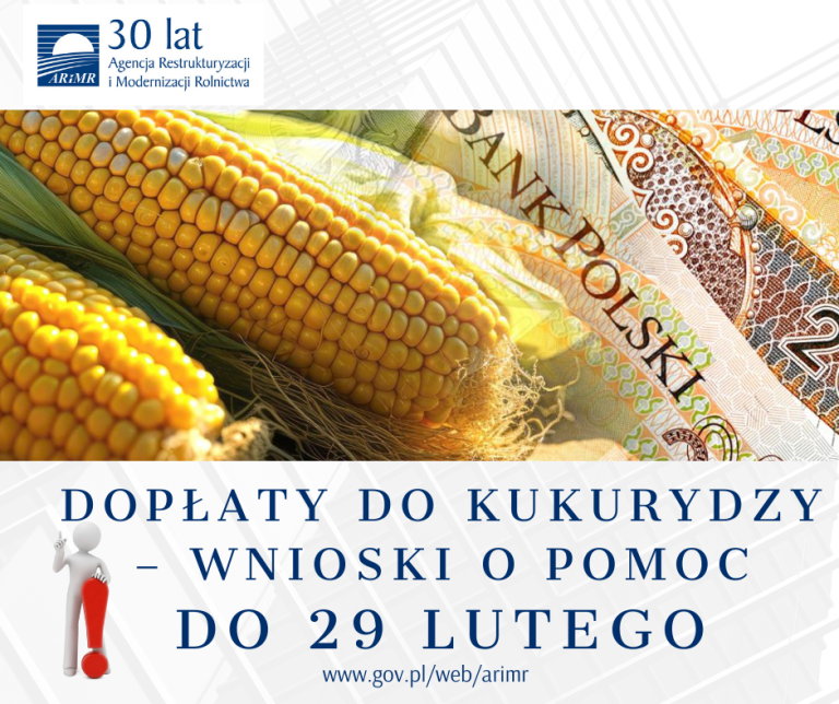 Obrazek przedstawia kukurydzę i informuje, że wnioski o pomoc przyjmowane są do 29 lutego.
