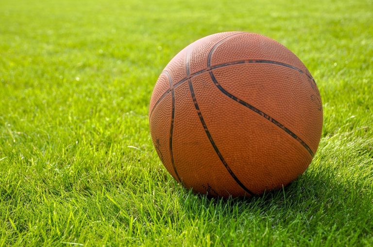 Piłka do koszykówki na trawie