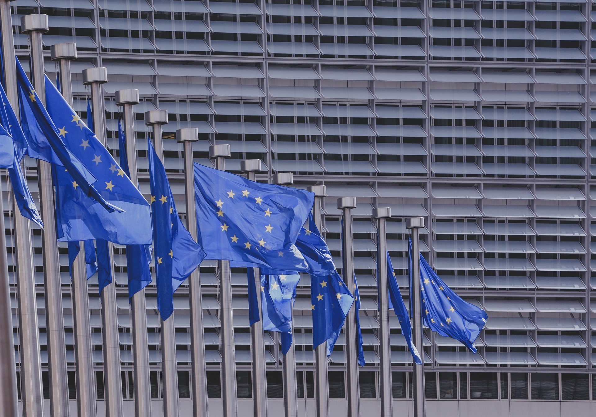 Flagi Unii Europejskiej na tle budynku Parlamentu